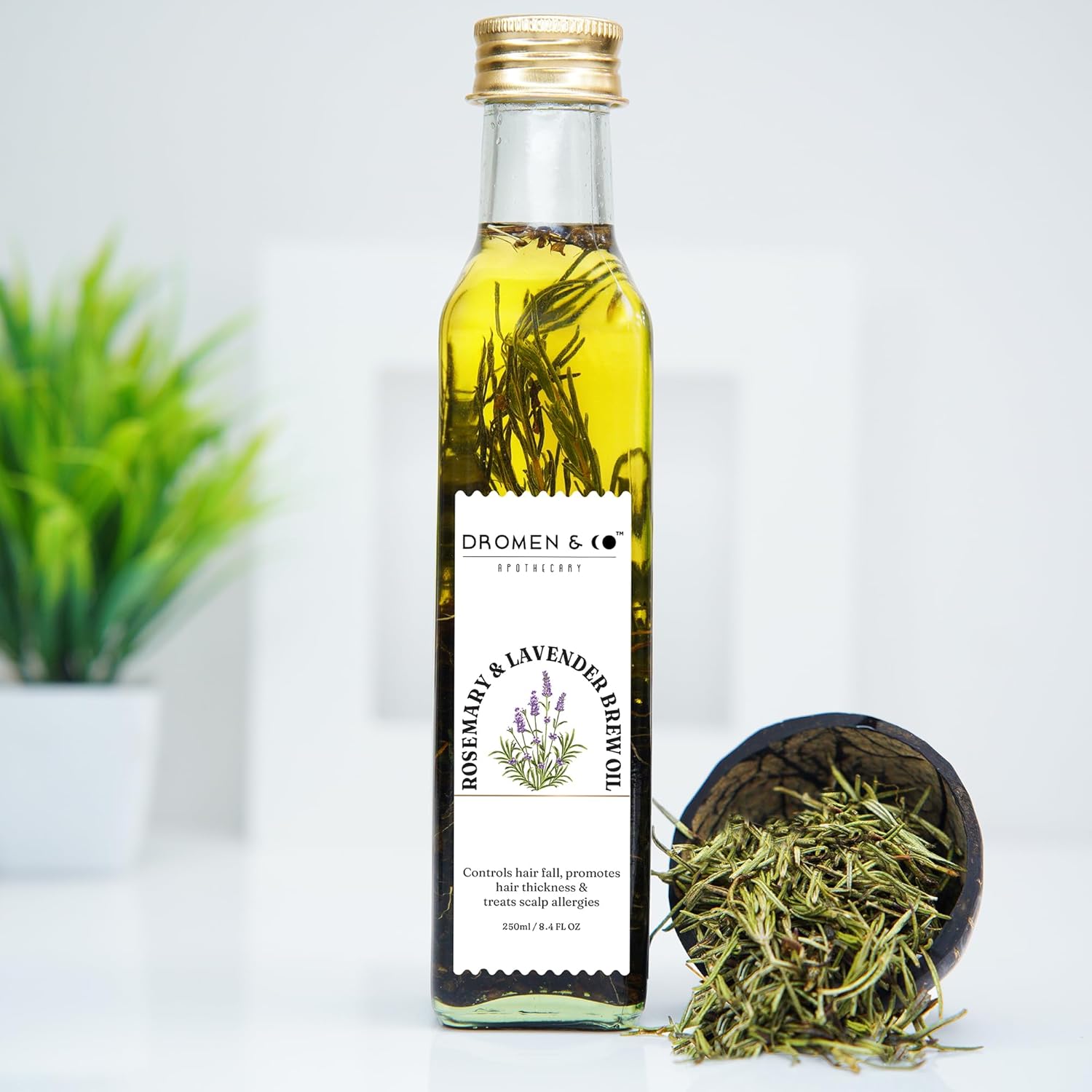 Dromen & Co Rosemary & Lavender Brew Oil | For Hair Growth, Control Dandruff & Hair Fall